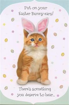 PHOTO CAT W BUNNY EARS