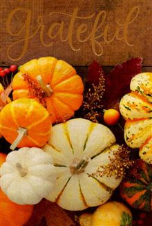 PUMPKIN AND SQUASH PHOTO