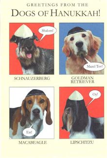 DOGS OF HANUKKAH