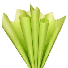 Tiss Solid Lime 8 Sht