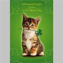 KITTEN W SHAMROCK