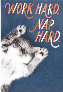 CAT NAPPING