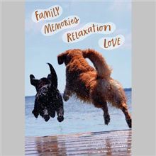 DOGS RUNNING ON BEACH