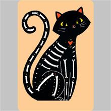 SKELETON CAT
