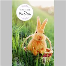 BUNNY IN BASKET PHOTO