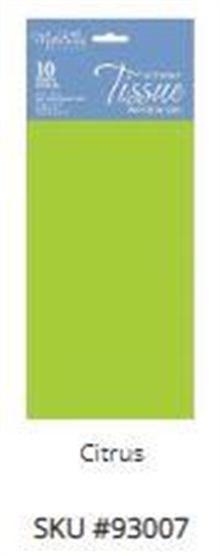 Tissue Citrus 10 sheet