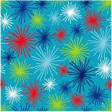 Scrw 20sq Firewrk Brst On Aqua