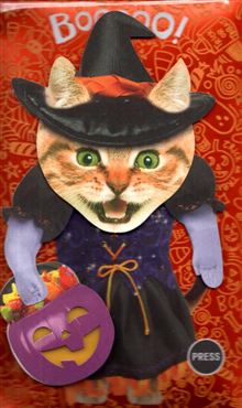 COSTUME CRITTERS WITCH CAT