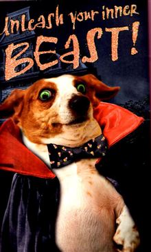 PARTY ANIMALS HYPER POPUP