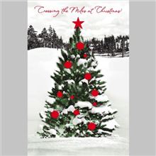 PINE TREE WITH ORNAMENTS