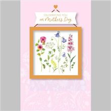 Pressed Flowers In Frame