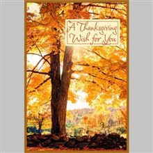 AUTUMN TREES