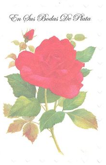 Anniversary Silver 25th