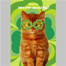 Cat with Shamrock Glasses