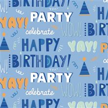 SCRW 40 JUV PI HBD BOY COPY BLUE