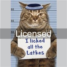 Photo Cat Licked Latkes