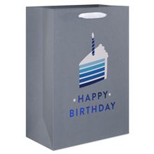 10 Medium Birthday Gift Bag for Him