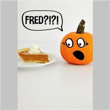 FRED PUMPKIN PIE