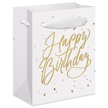 SBG ED FEM MN SCRIPT HBD CNFTI