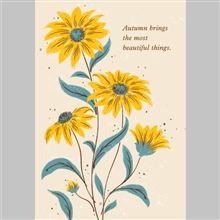 BLACK EYED SUSAN FLORALS