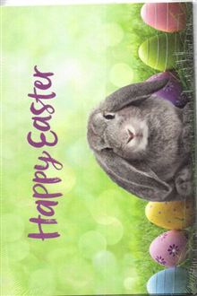 BUNNY AND EASTER EGGS