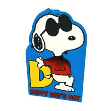 JOE COOL