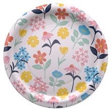 10-Count GINGHAM ANY 9RND PLATE