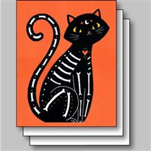 SKELETON CAT