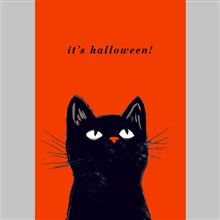 SIMPLE BLACK CAT