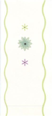 Envelope Wrap